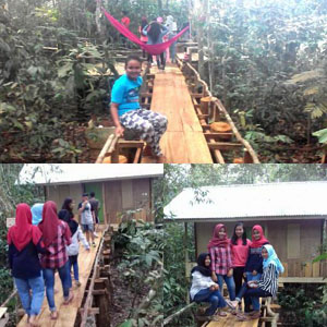 KPHL Kembangkan Hutan Lindung Sentajo Jadi Destinasi Wisata Hutan Kuantan Singingi